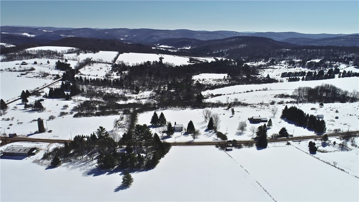 Lot 42 Hamden Hill Road Hamden, NY 13782 - Photo 5 of 40