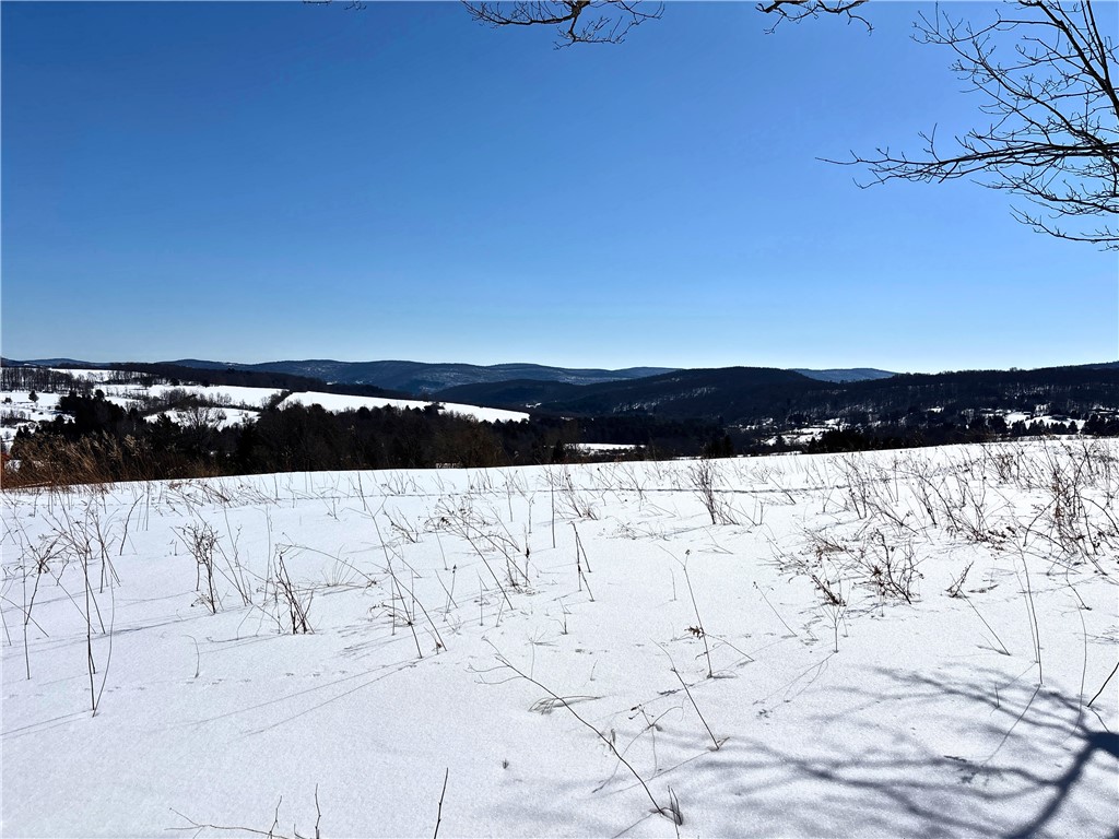 Lot 42 Hamden Hill Road Hamden, NY 13782 - Photo 6 of 40