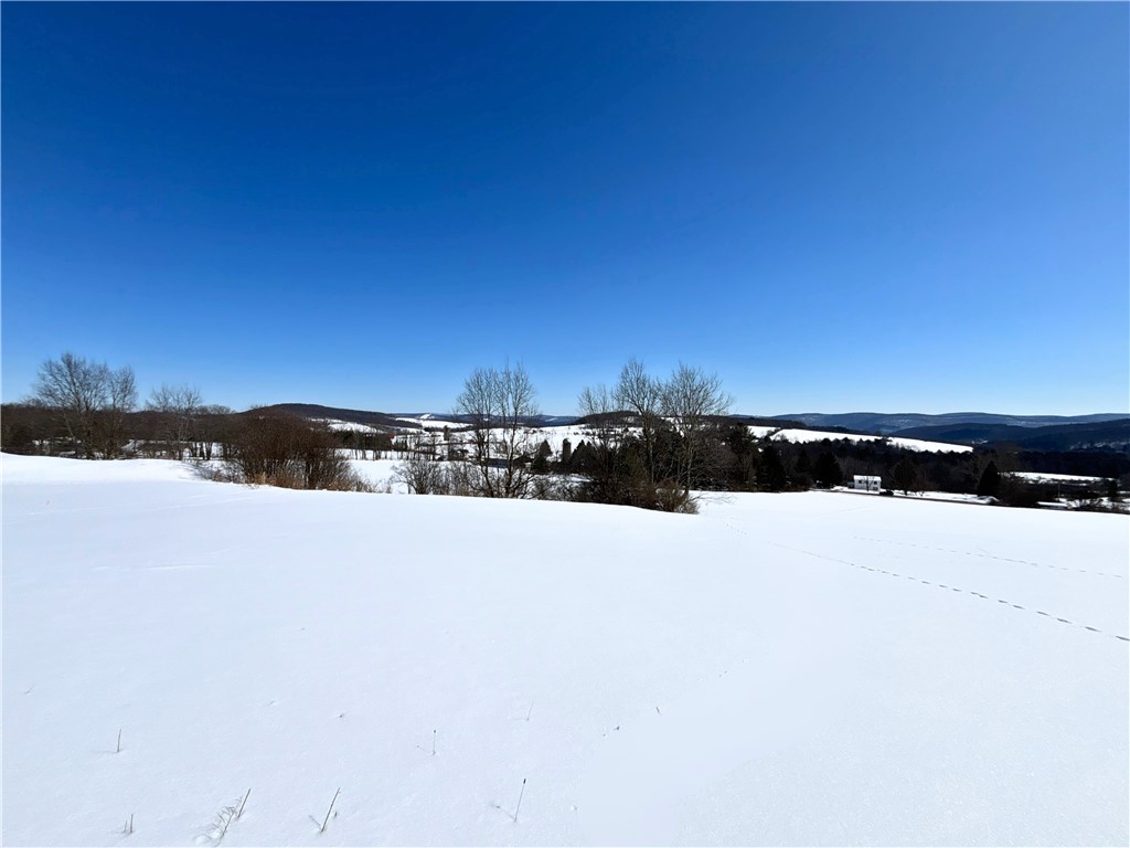 Lot 42 Hamden Hill Road Hamden, NY 13782 - Photo 8 of 40
