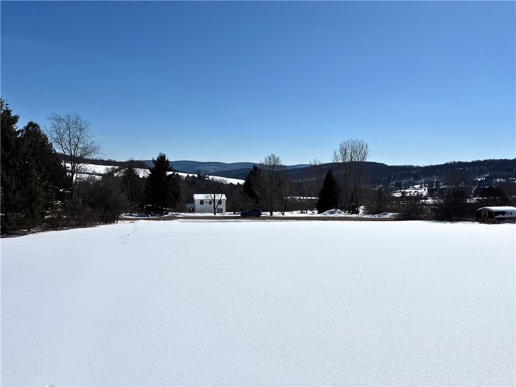Lot 42 Hamden Hill Road Hamden, NY 13782 - Photo 9 of 40