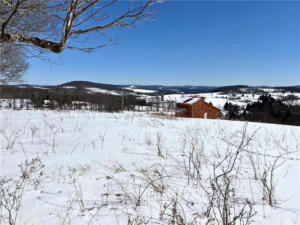 Lot 42 Hamden Hill Road Hamden, NY 13782 - Photo 10 of 40