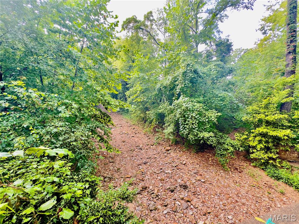 0 Texas St. Robert, MO 65584 - Photo 2 of 4