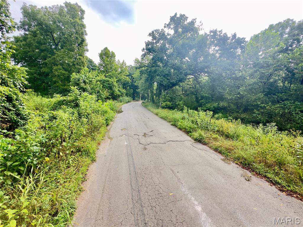 0 Texas St. Robert, MO 65584 - Photo 3 of 4