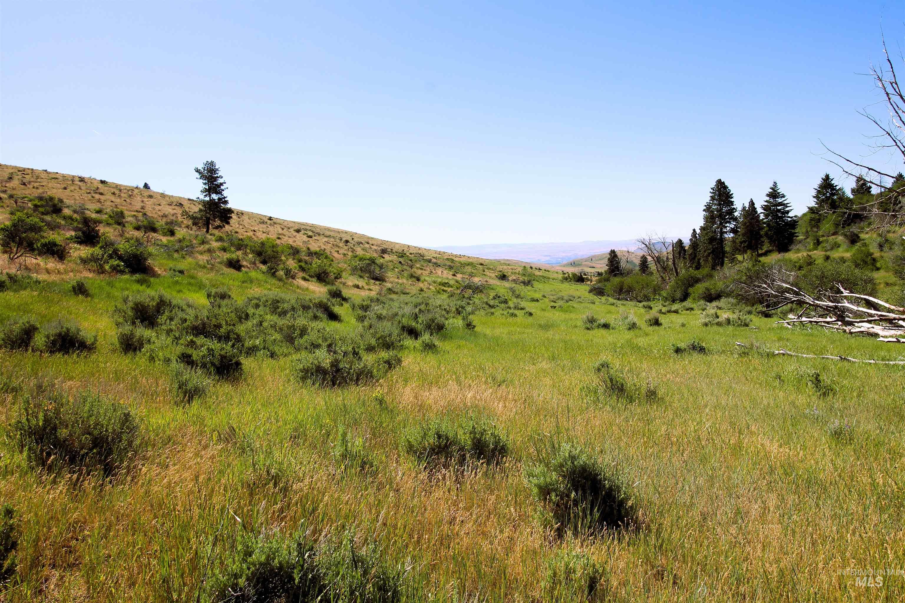Tbd Advent Gulch Road Cambridge, ID 83610 - Photo 13 of 24