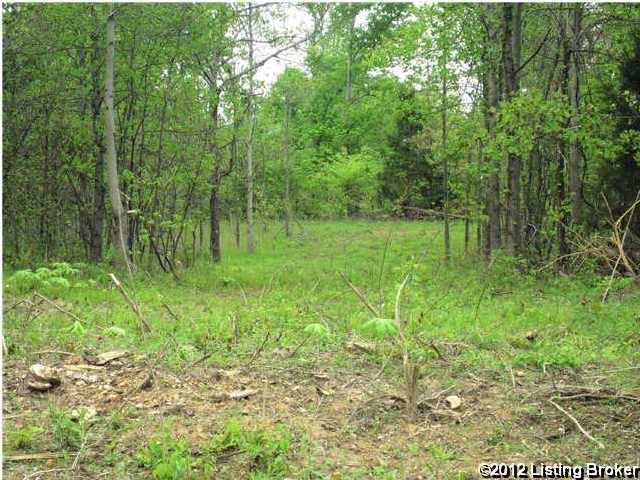 201 Vic Young Road Olaton, KY 42361 - Photo 3 of 19 Additional Photo