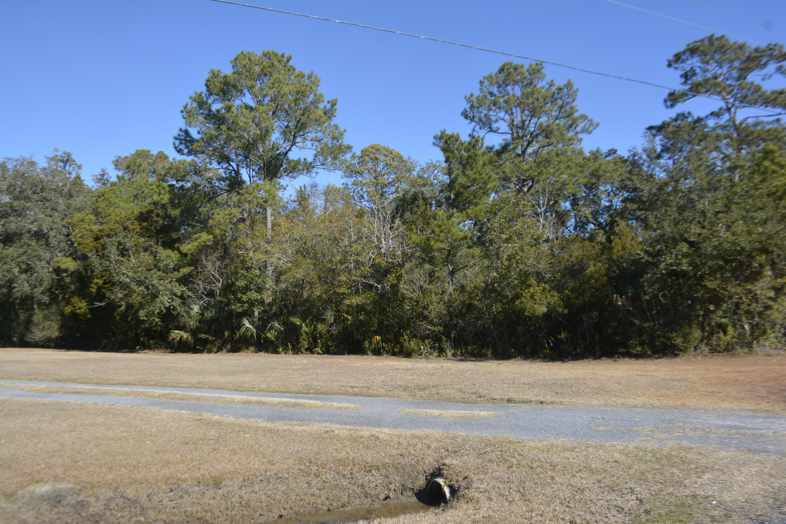 8274 Oyster Factory Road Edisto Island, SC 29438 - Photo 1 of 4 _DSC7896