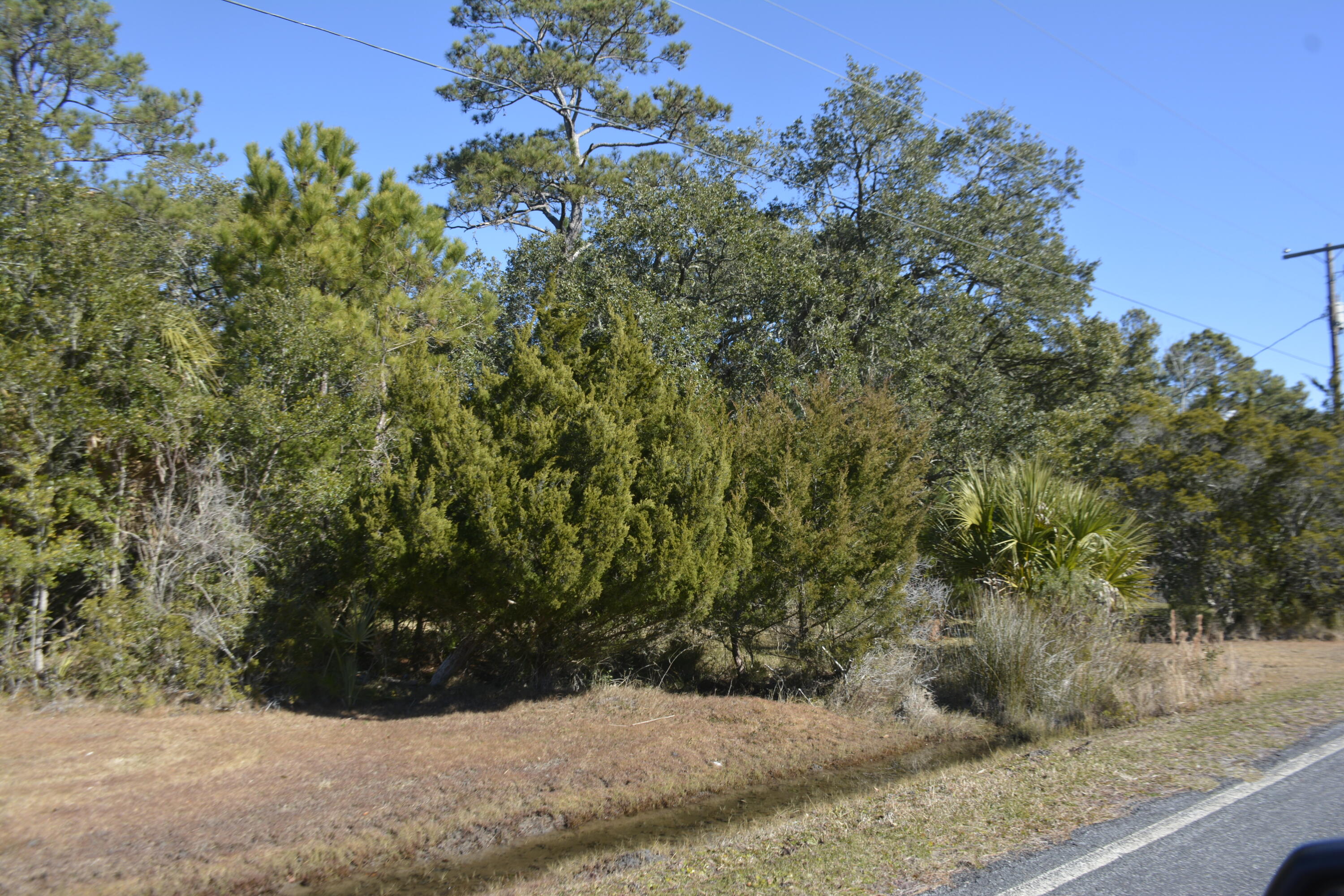 8274 Oyster Factory Road Edisto Island, SC 29438 - Photo 4 of 4 _DSC7899