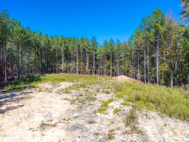 a view of a yard with plants and trees in the background