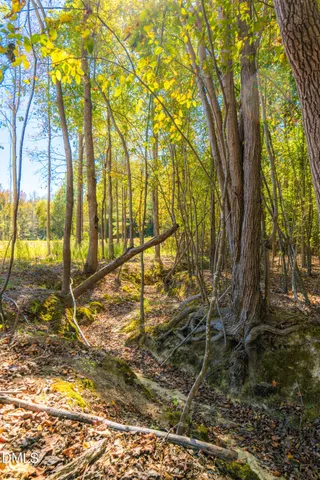a view of a yard with trees