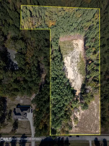 a view of a yard with plants