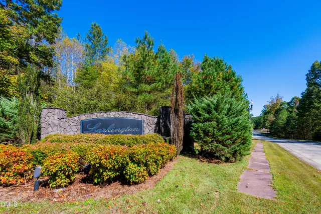 a view of a garden with plants