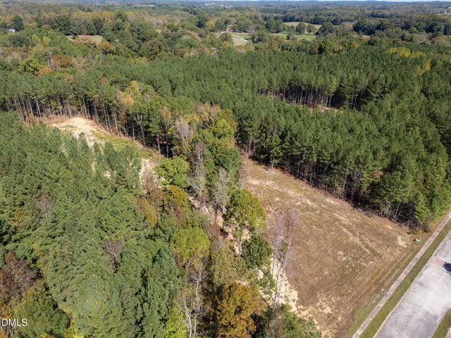 a view of a forest with a street