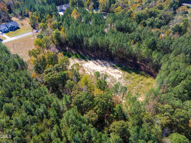 a view of a yard with plants and a bench