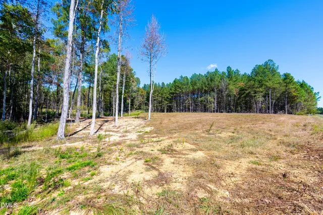 a view of outdoor space with trees