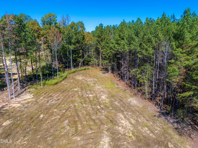 a view of a yard with plants and trees
