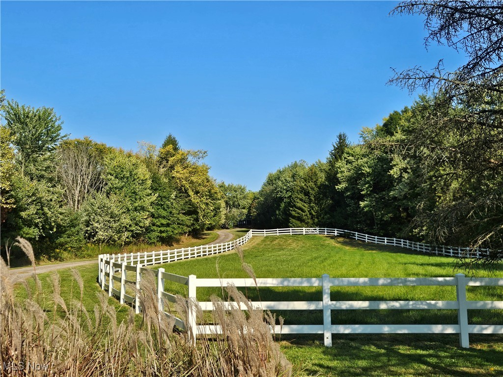 6155 Beach Road Wadsworth, OH 44281 - Photo 43 of 49 View of front pasture and driveway from road