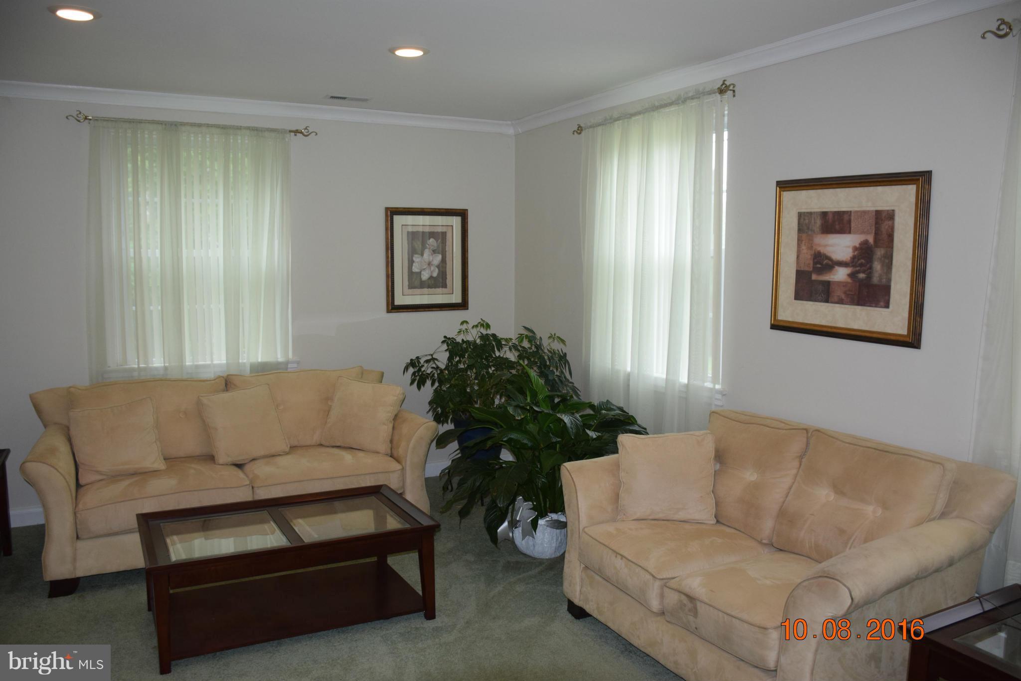 6810 Campfield Road Baltimore, MD 21207 - Photo 13 of 30 a living room with furniture and a potted plant