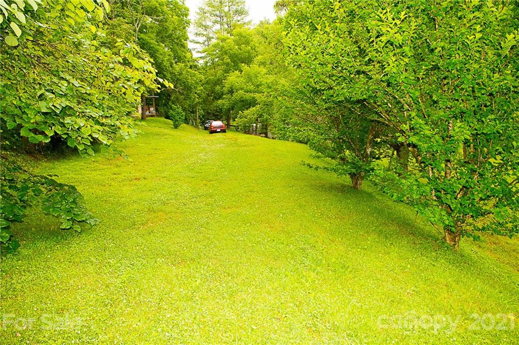 1000 Halewood Road Marshall, NC 28753 - Photo 37 of 48 Gallery Image 37