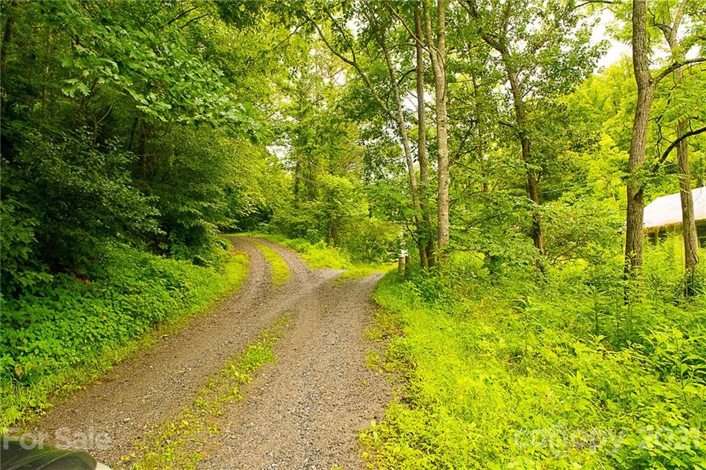 1000 Halewood Road Marshall, NC 28753 - Photo 42 of 48 Gallery Image 42