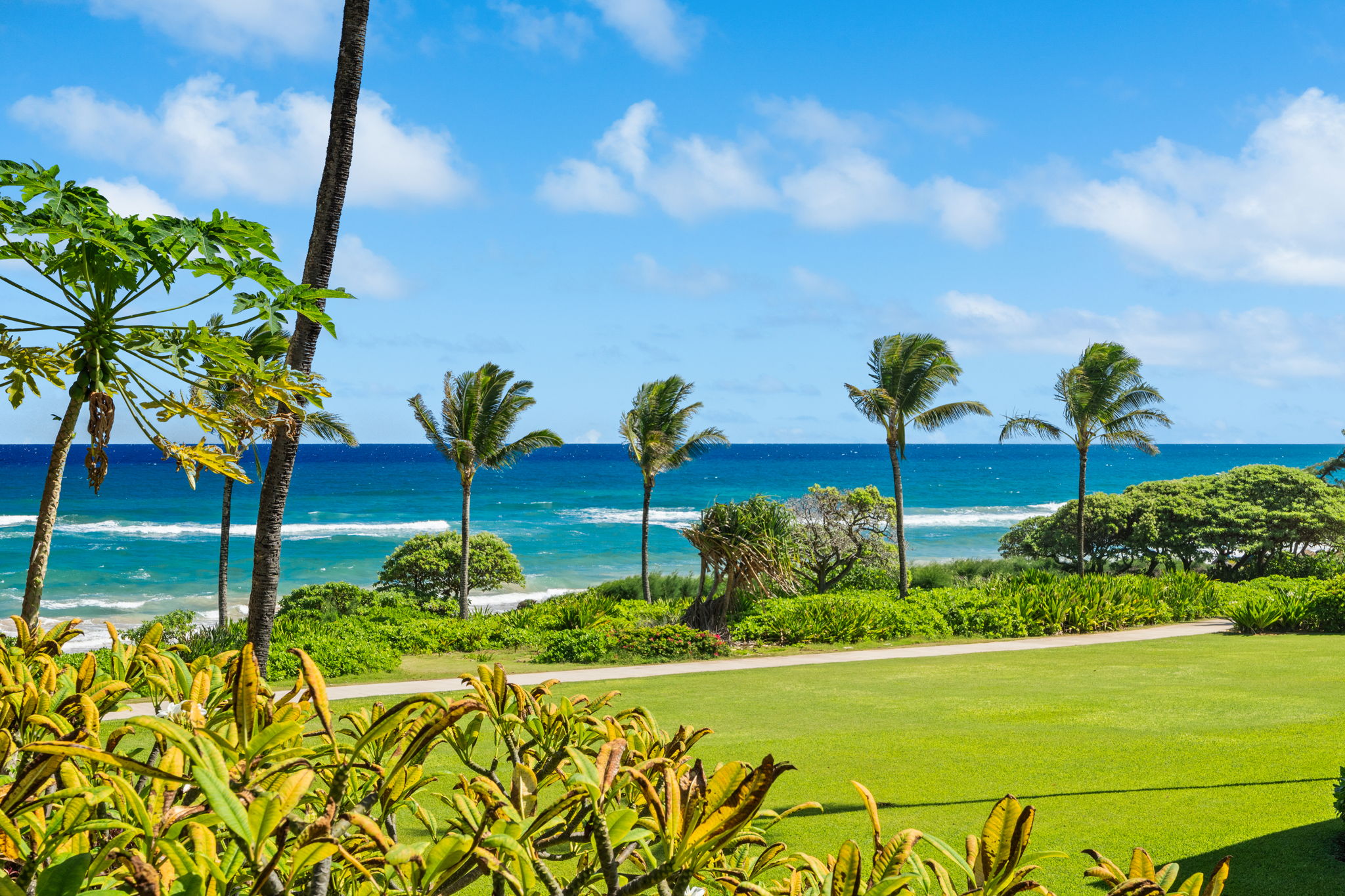 4460 Nehe Road, Unit 215 Lihue, HI 96766 - Photo 19 of 25 a view of a garden