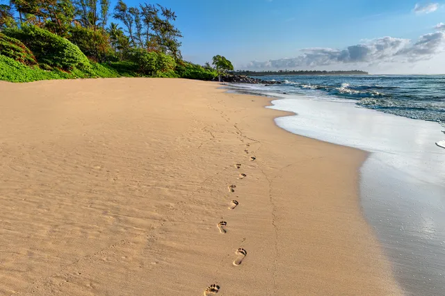 a view of a swimming pool and an outdoor space