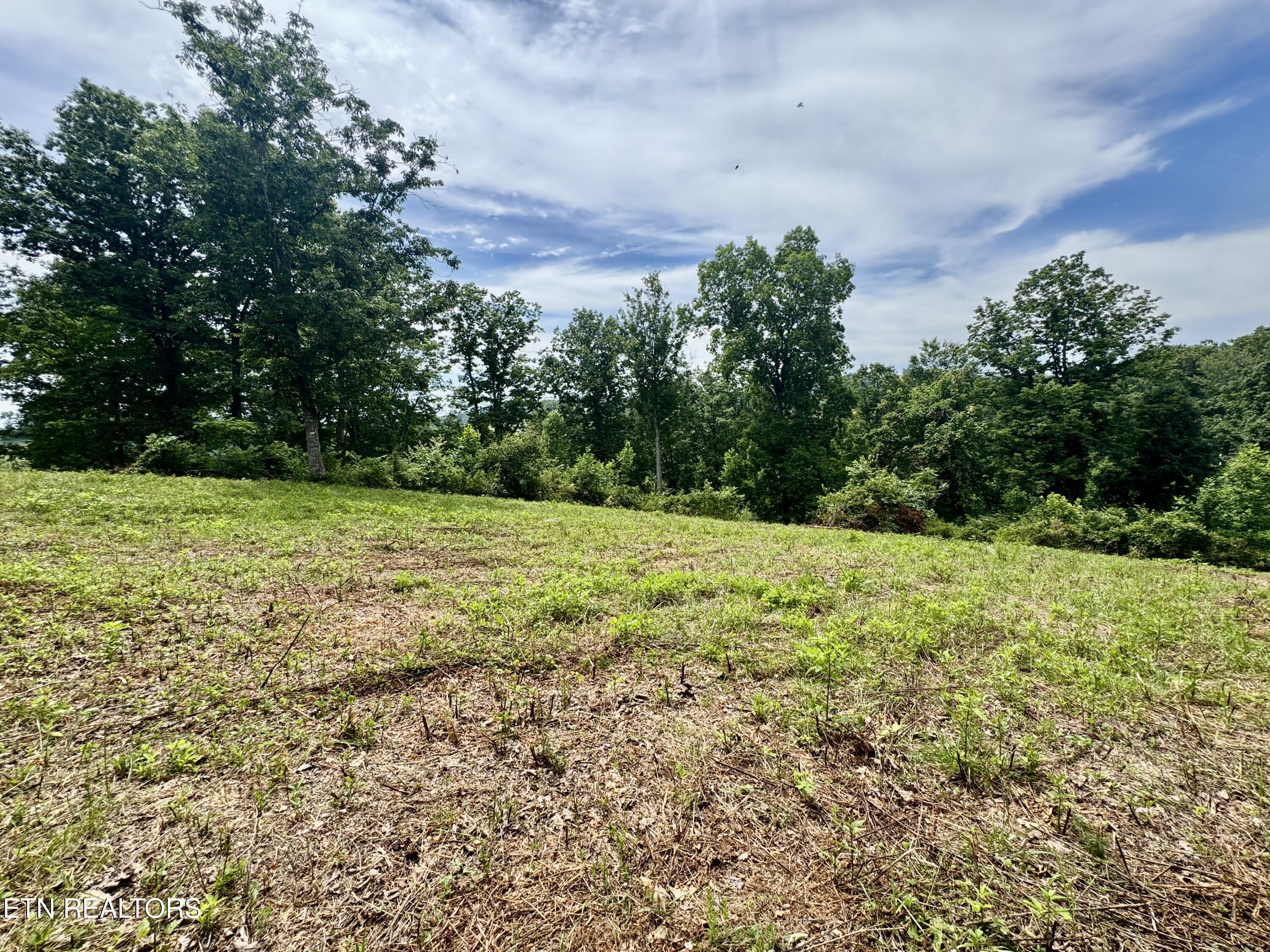 378 Johnson Hollow Road New Tazewell, TN 37825 - Photo 20 of 35 1-20