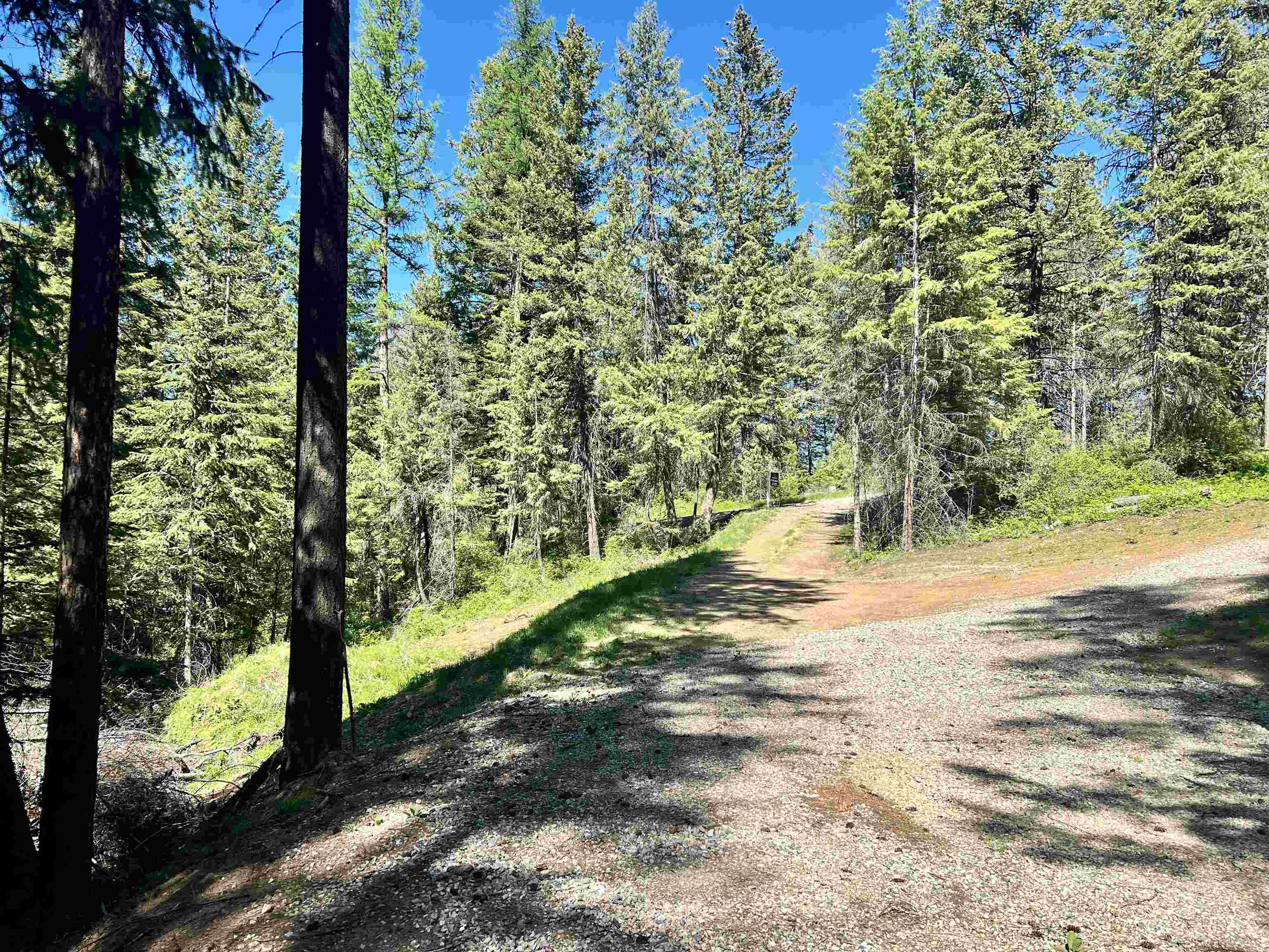 42198 Shore Acres Road Loon Lake, WA 99148 - Photo 3 of 7