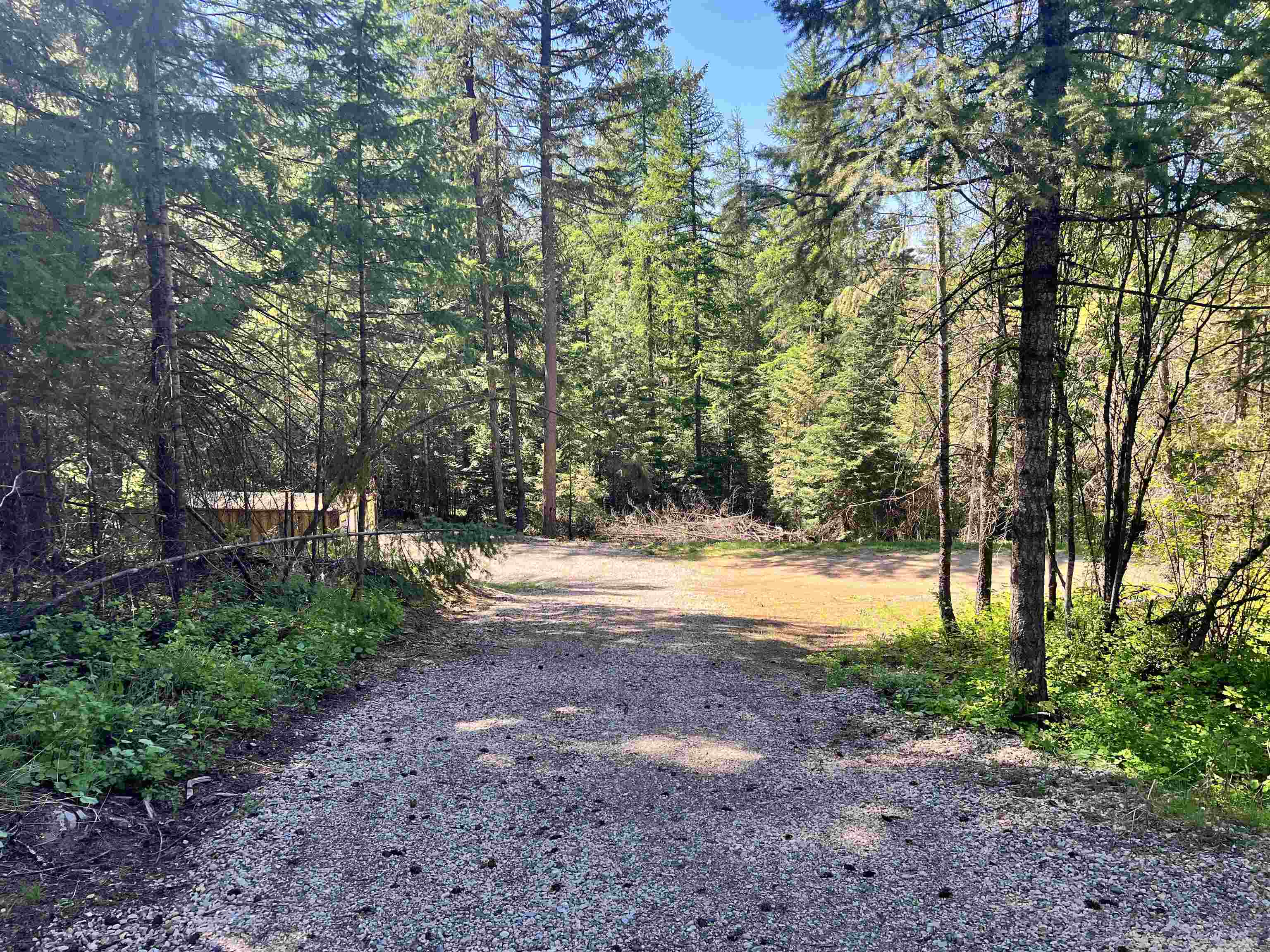 42198 Shore Acres Road Loon Lake, WA 99148 - Photo 4 of 7