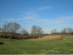 650 Allison Road Piney Flats, TN 37686 - Photo 21 of 23 Back Door View