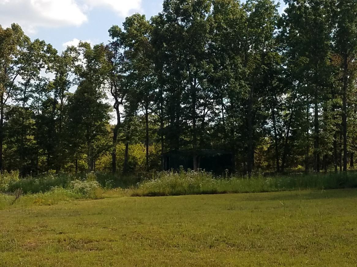 0 Pinewood Lake Road Nunnelly, TN 37137 - Photo 1 of 15 Gallery Image 1