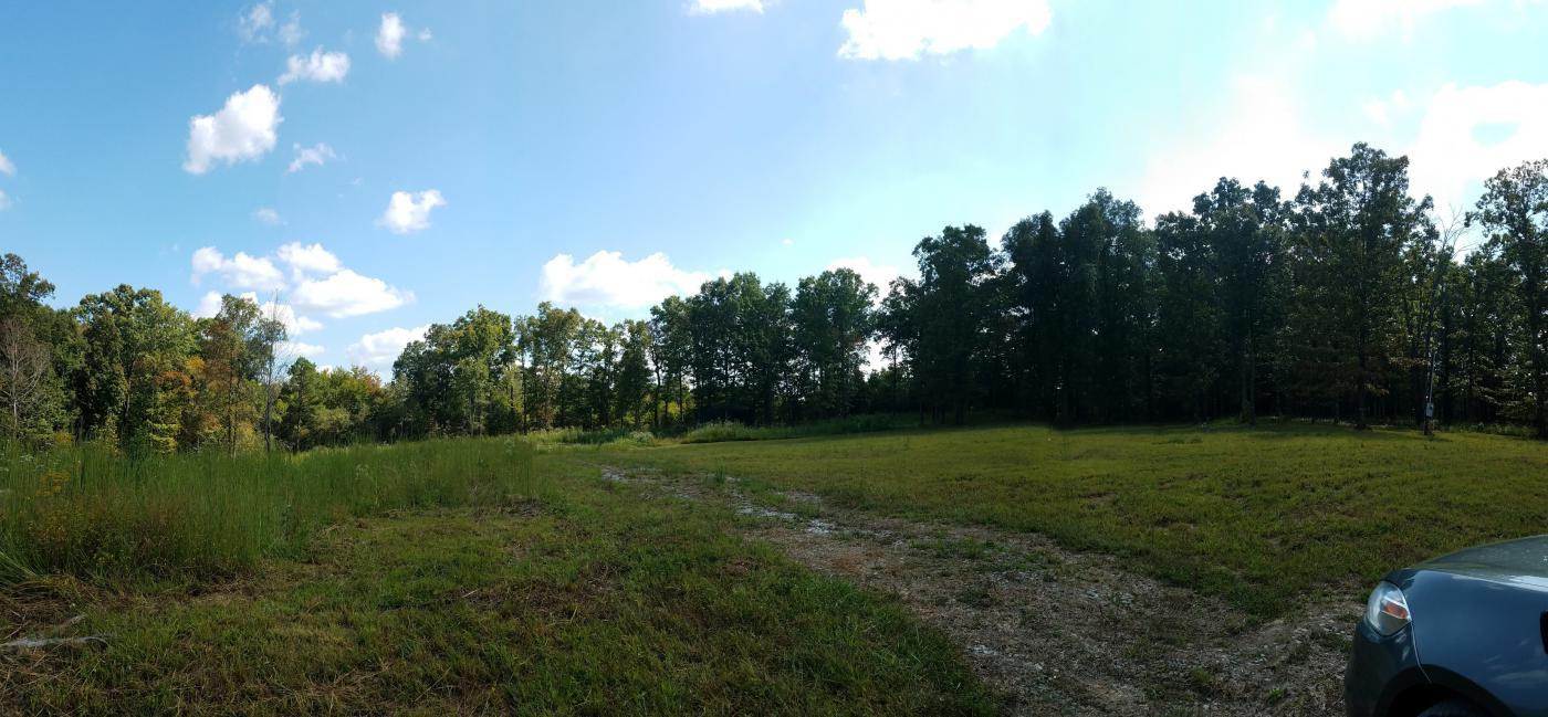 0 Pinewood Lake Road Nunnelly, TN 37137 - Photo 4 of 15 Gallery Image 4