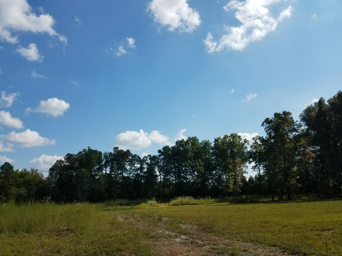 0 Pinewood Lake Road Nunnelly, TN 37137 - Photo 10 of 15 Gallery Image 10
