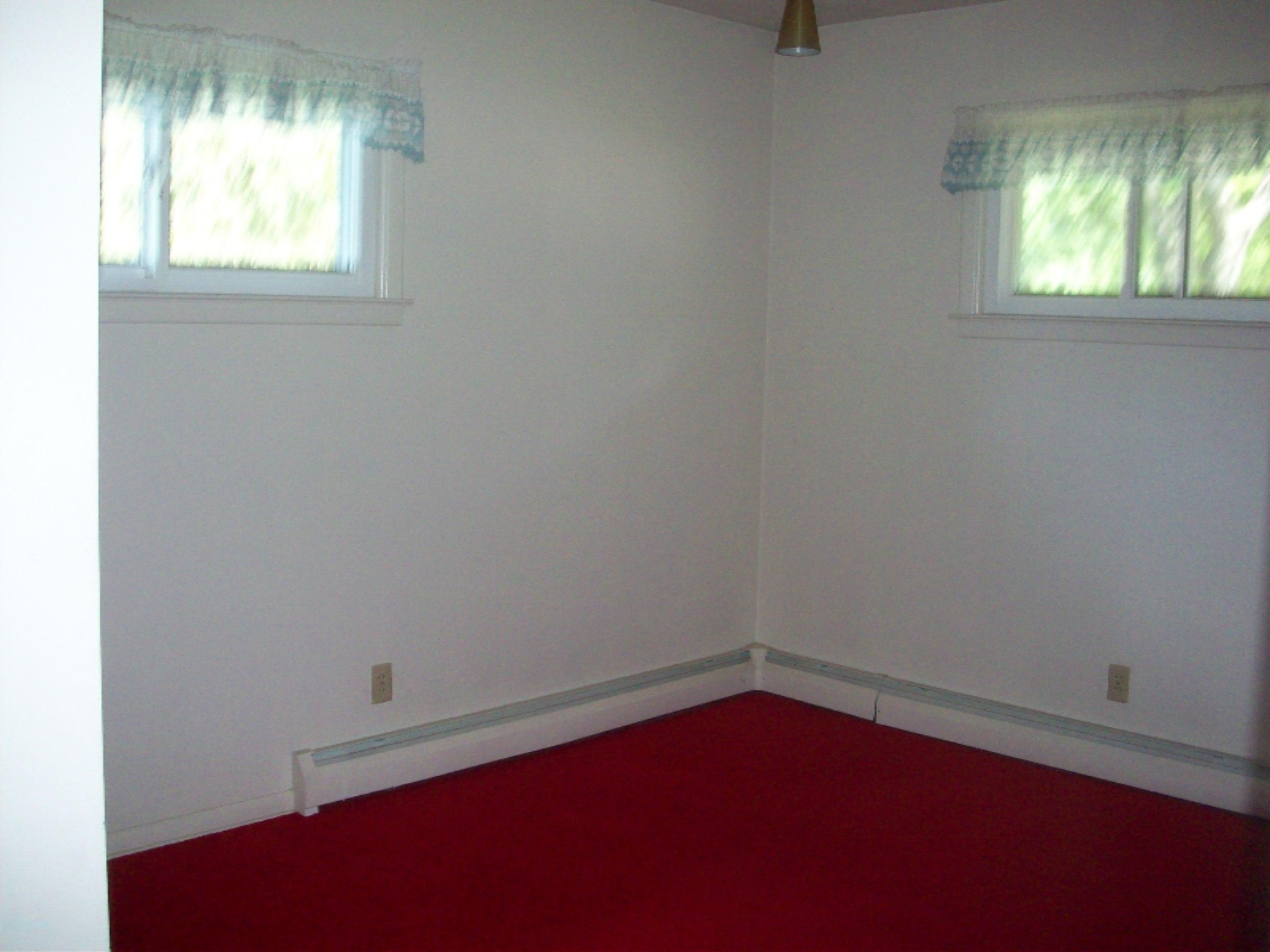 305 Tomahawk Lane Reed City, MI 49677 - Photo 11 of 22 100_3298