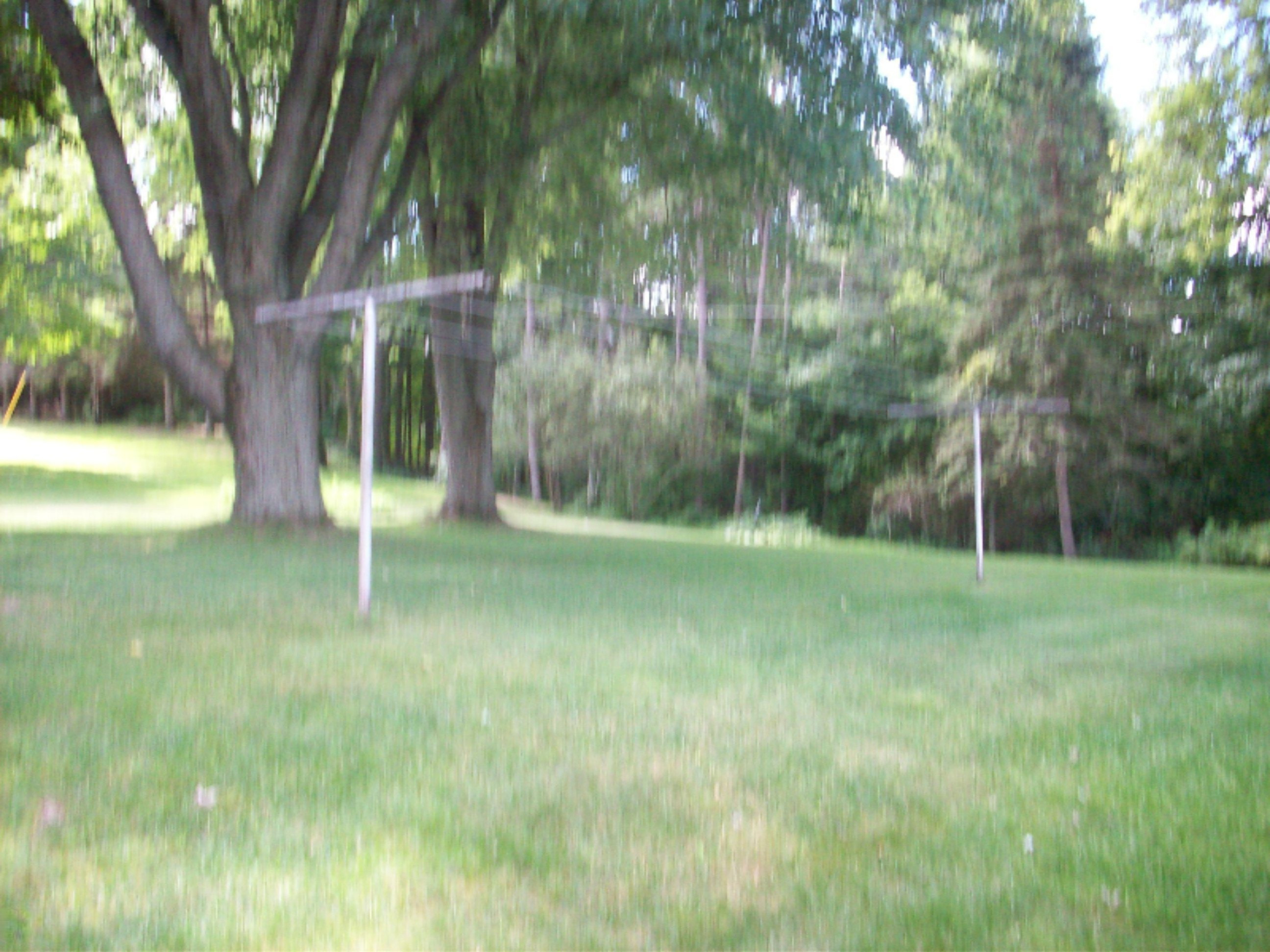 305 Tomahawk Lane Reed City, MI 49677 - Photo 4 of 22 100_3290