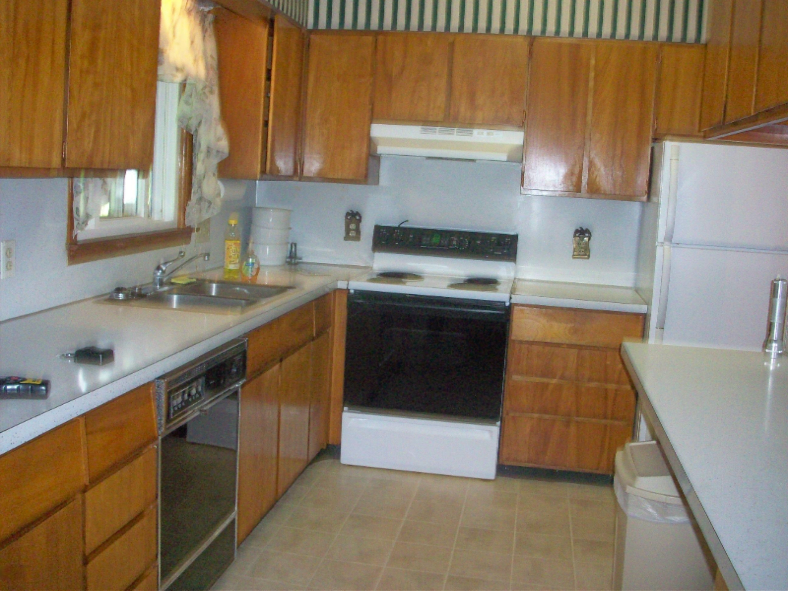 305 Tomahawk Lane Reed City, MI 49677 - Photo 6 of 22 100_3292