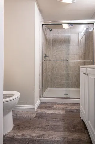 a bathroom with a shower and a toilet