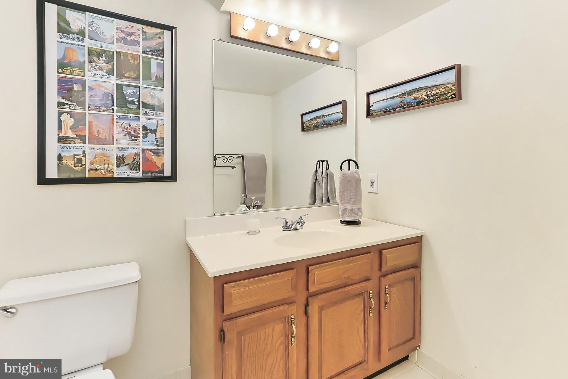 6202 Sandstone Way Clifton, VA 20124 - Photo 46 of 54