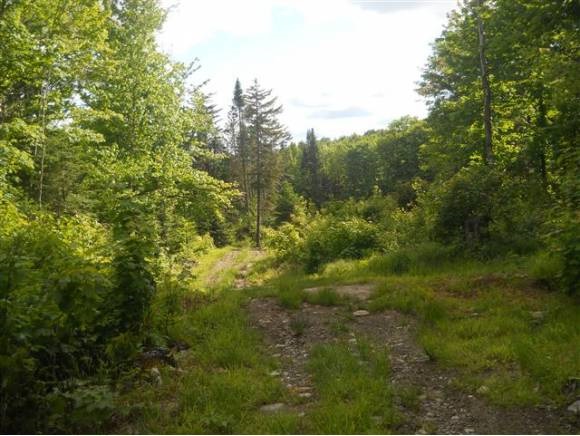 Lot 76-1 Danforth Road Pittsburg, NH 03592 - Photo 2 of 4 Gallery Image 2