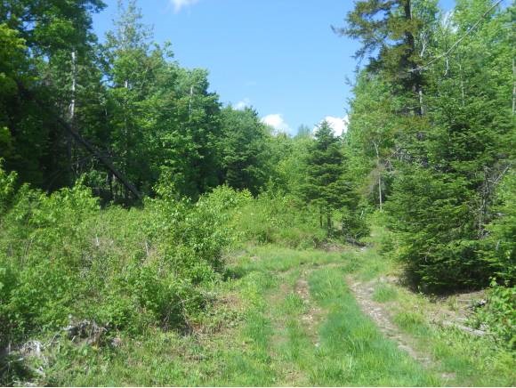 Lot 76-1 Danforth Road Pittsburg, NH 03592 - Photo 4 of 4 Gallery Image 4