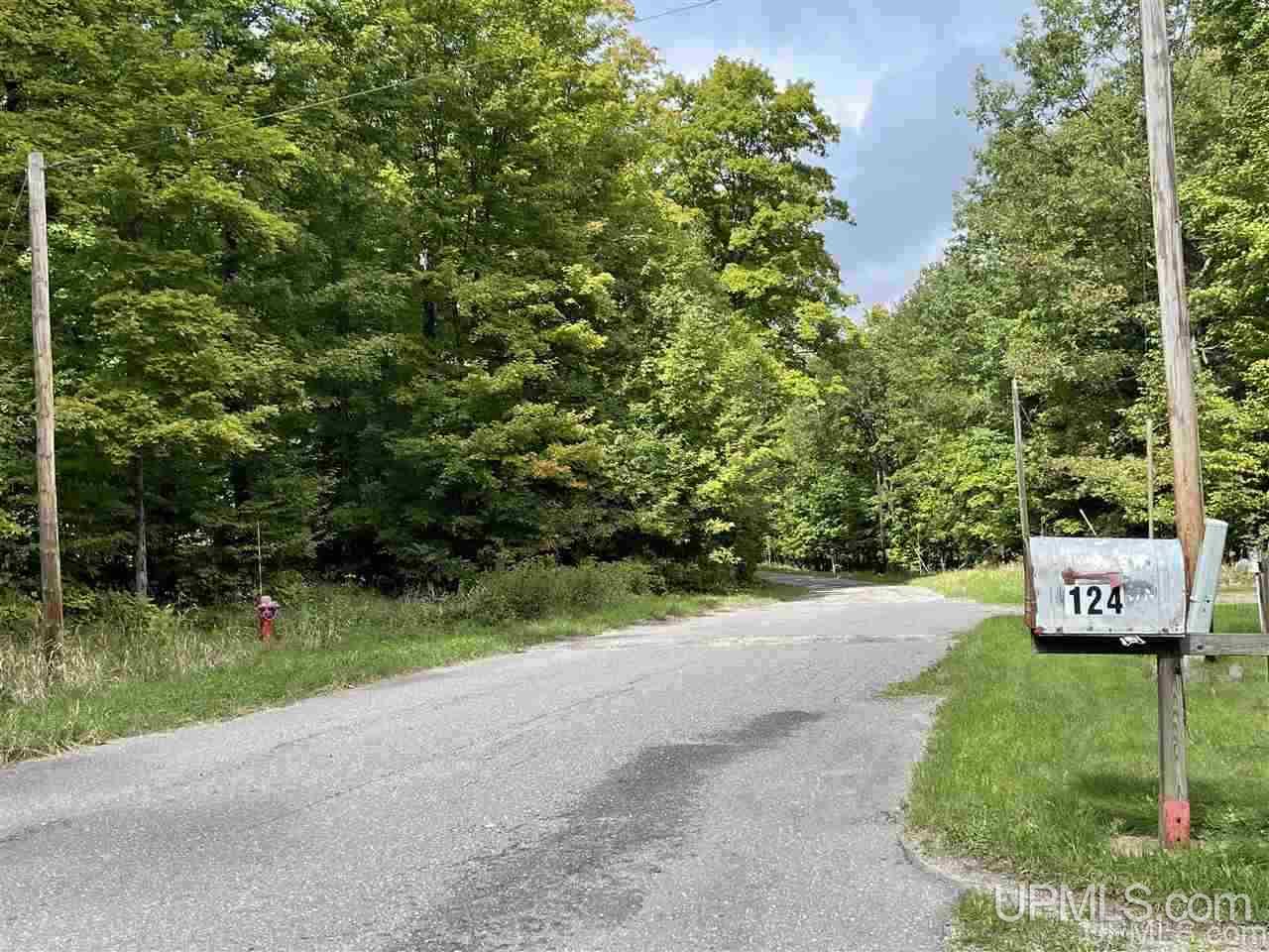 124 Kaski Road Crystal Falls, MI 49920 - Photo 41 of 50 Gallery Image 41