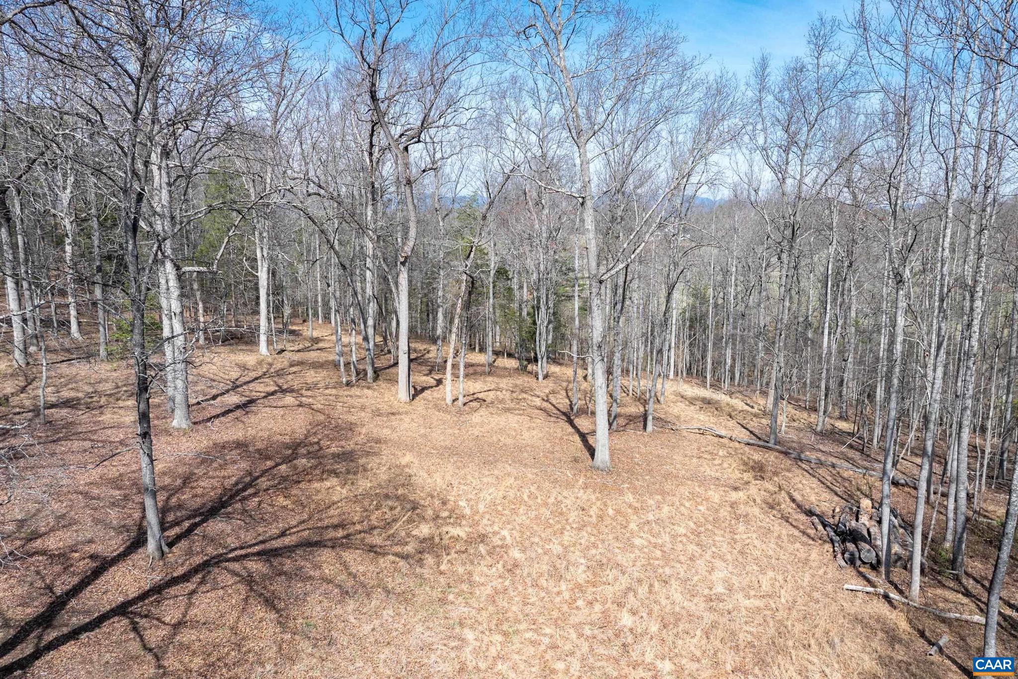 0 Narrows Way, Unit 15 Ruckersville, VA 22968 - Photo 17 of 25 Gallery Image 17