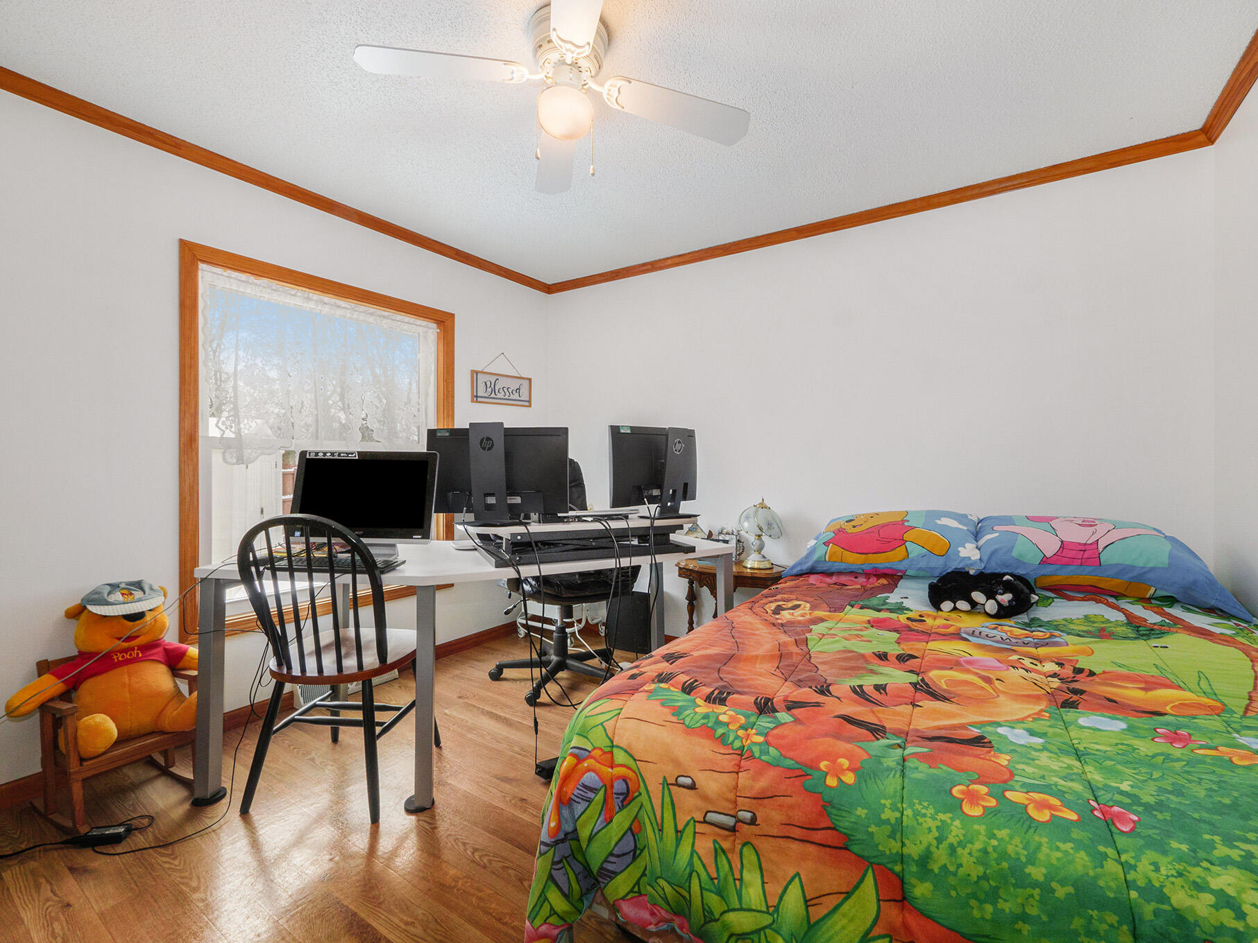 3395 Pickett Road Albion, MI 49224 - Photo 11 of 54 photo_35