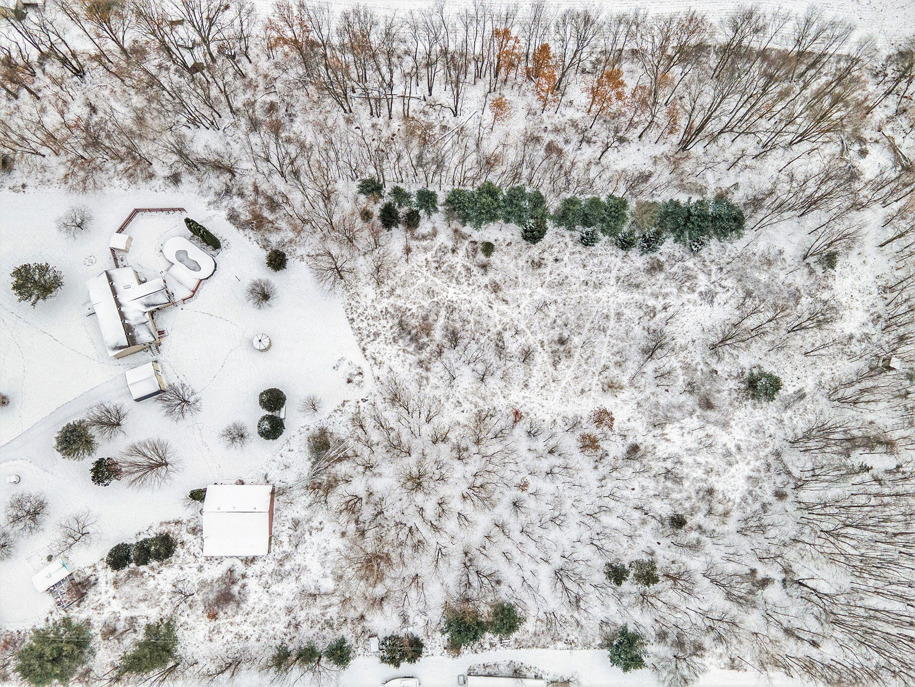 3395 Pickett Road Albion, MI 49224 - Photo 29 of 54 DJI_0441-