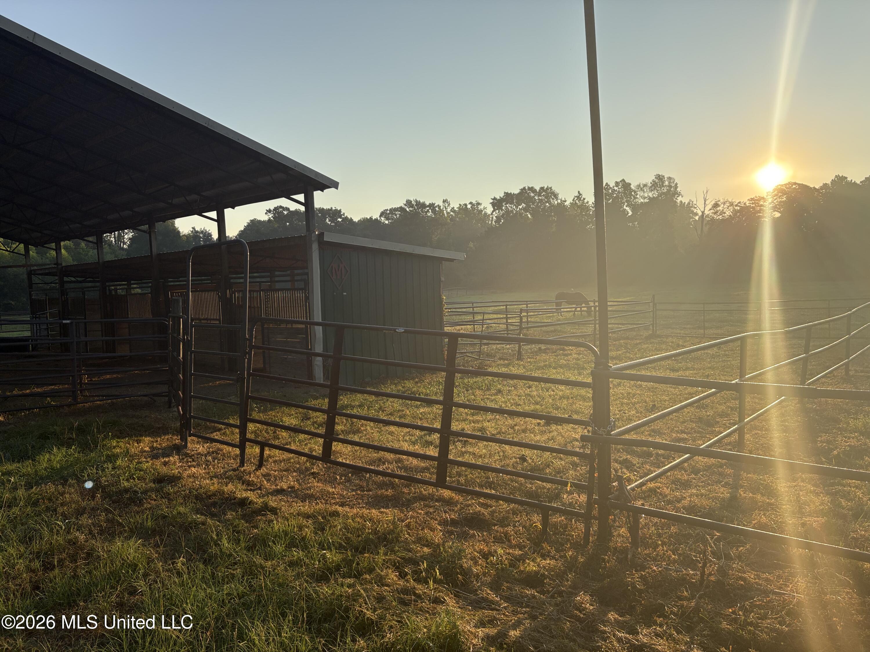 253 West Petros Road Pearl, MS 39208 - Photo 11 of 47 IMG_3210