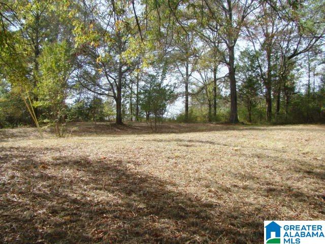 709 Alexandria Road Southwest Jacksonville, AL 36265 - Photo 6 of 24
