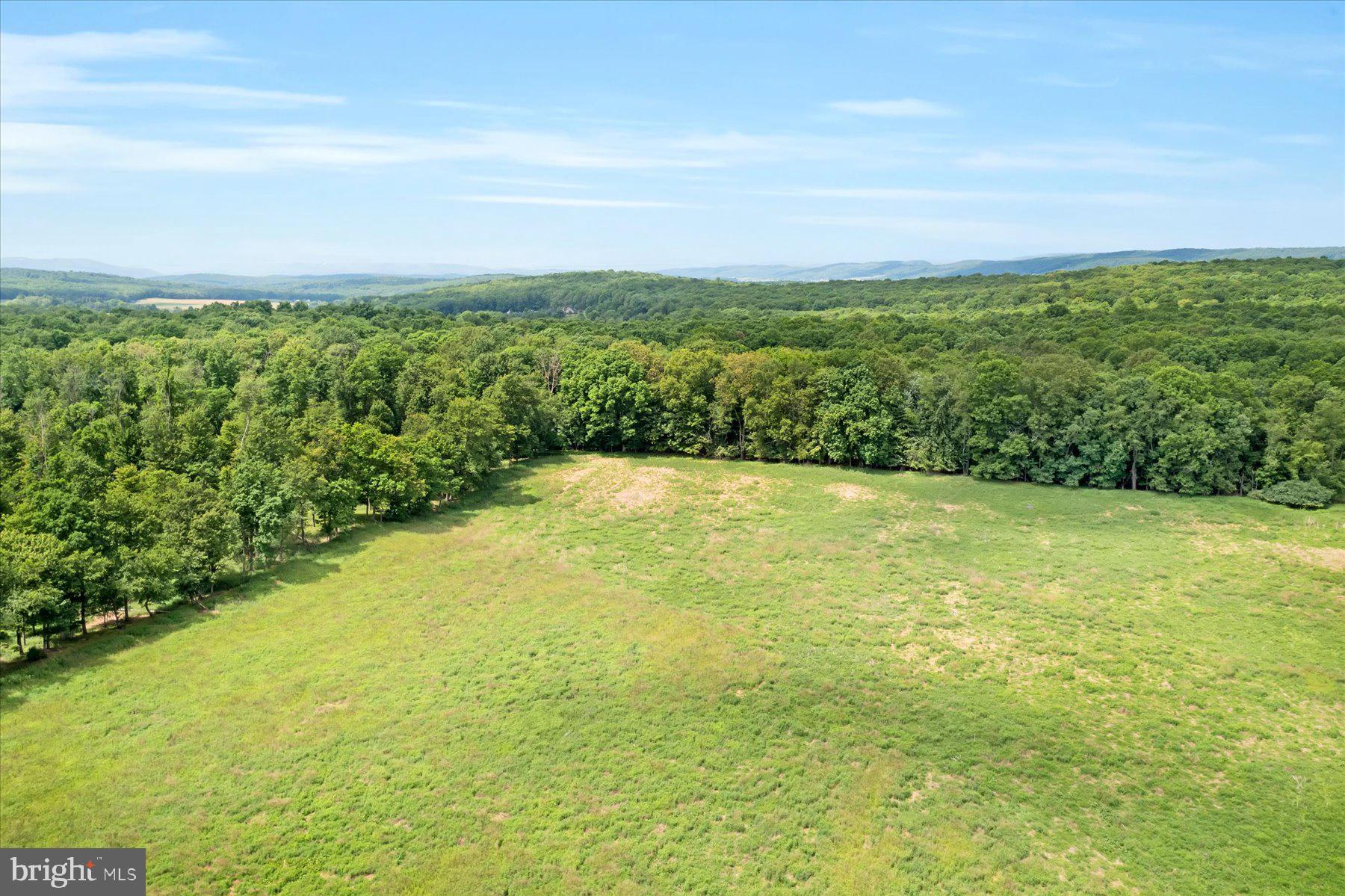786 Dry Hollow Road Warriors Mark, PA 16877 - Photo 4 of 16