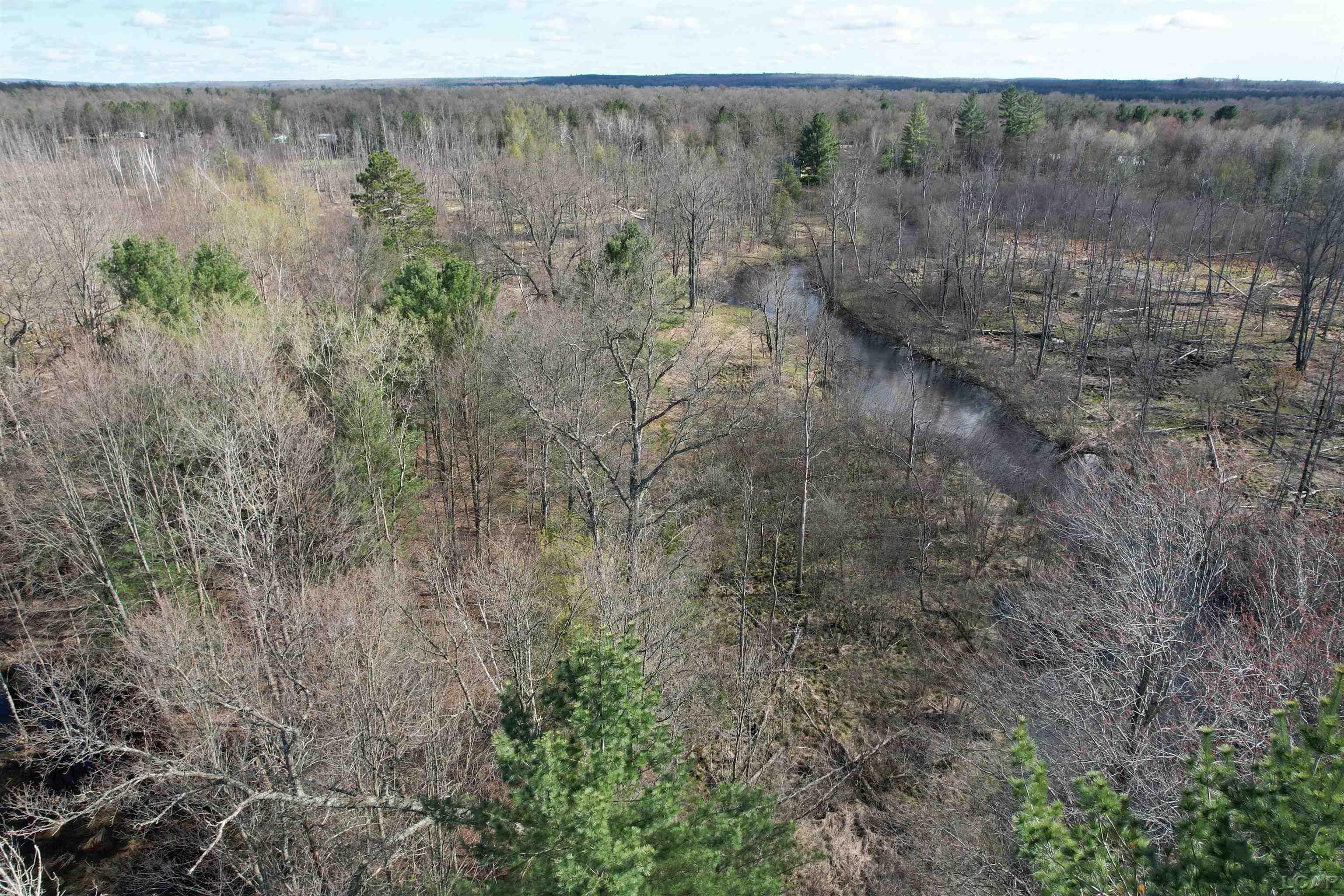 4 West Mile Road Baldwin, MI 49304 - Photo 7 of 10