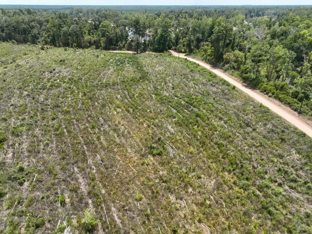 a view of a big yard with green space