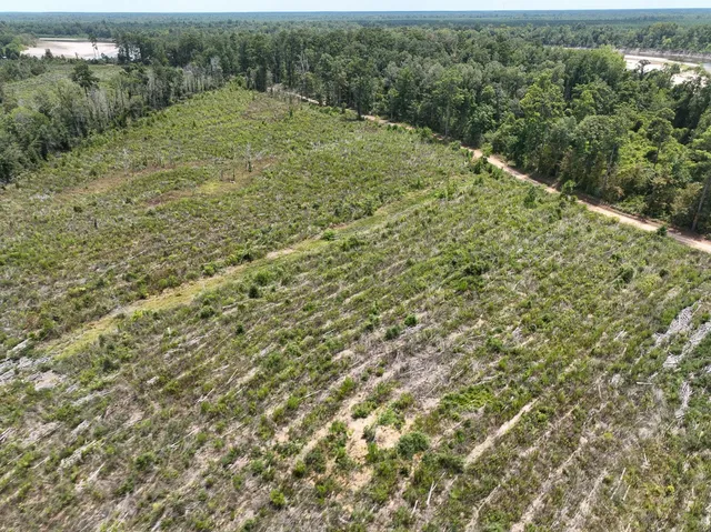 a view of a green field with lots of bushes