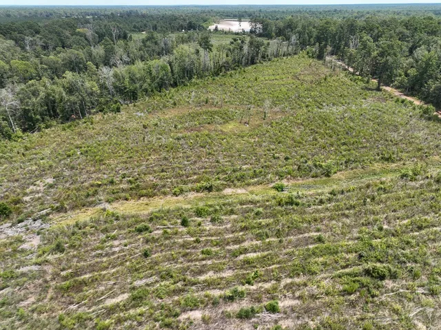 a city view with lot of trees